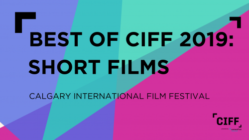 Best of CIFF 2019 Shorts Cover