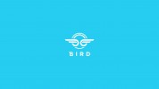 Bird Corporate 2500x1406