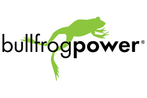 Bullfrog