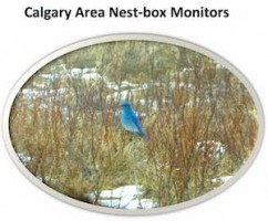 Calgary Area Nest-box Monitors