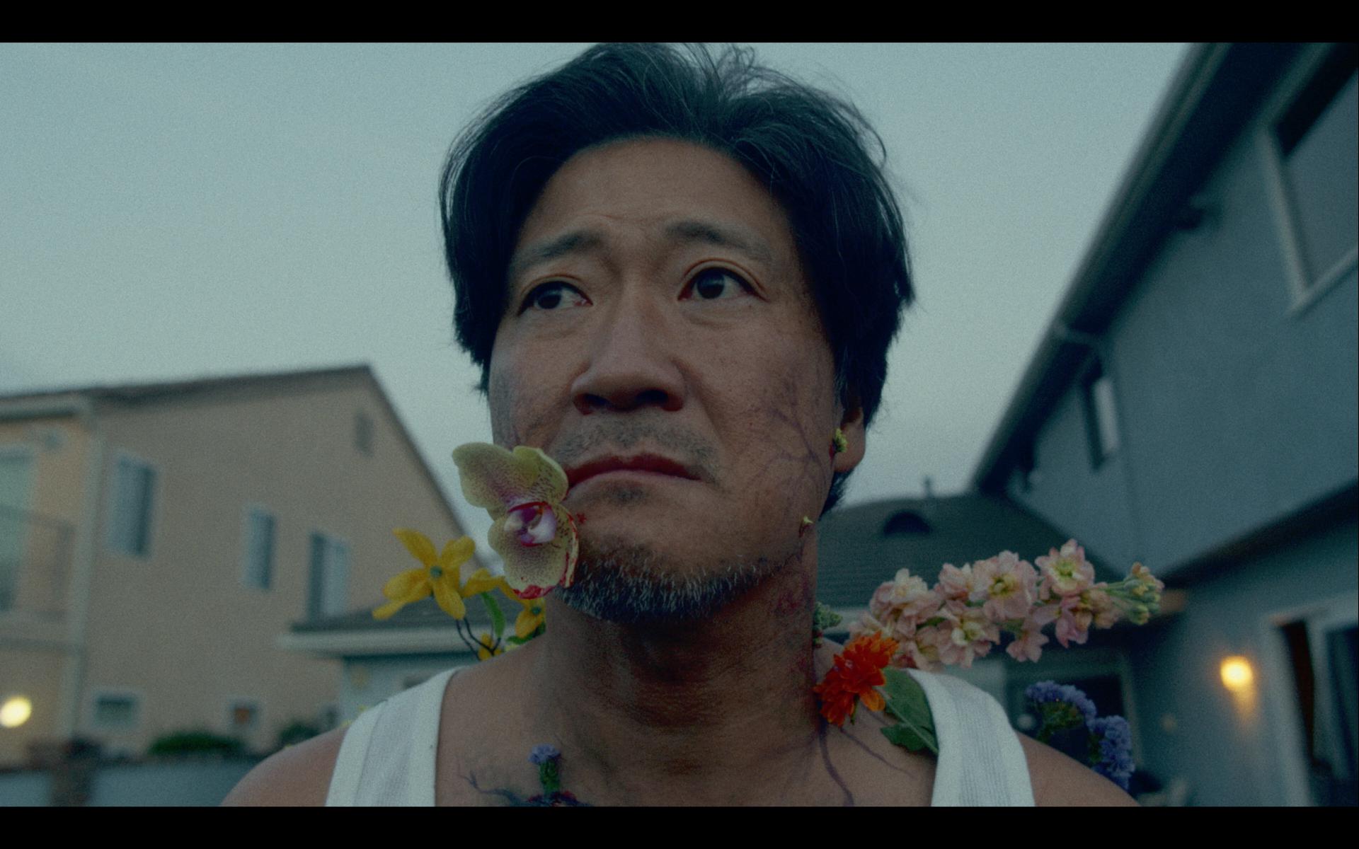 TIL IT BLOOMS » CIFF