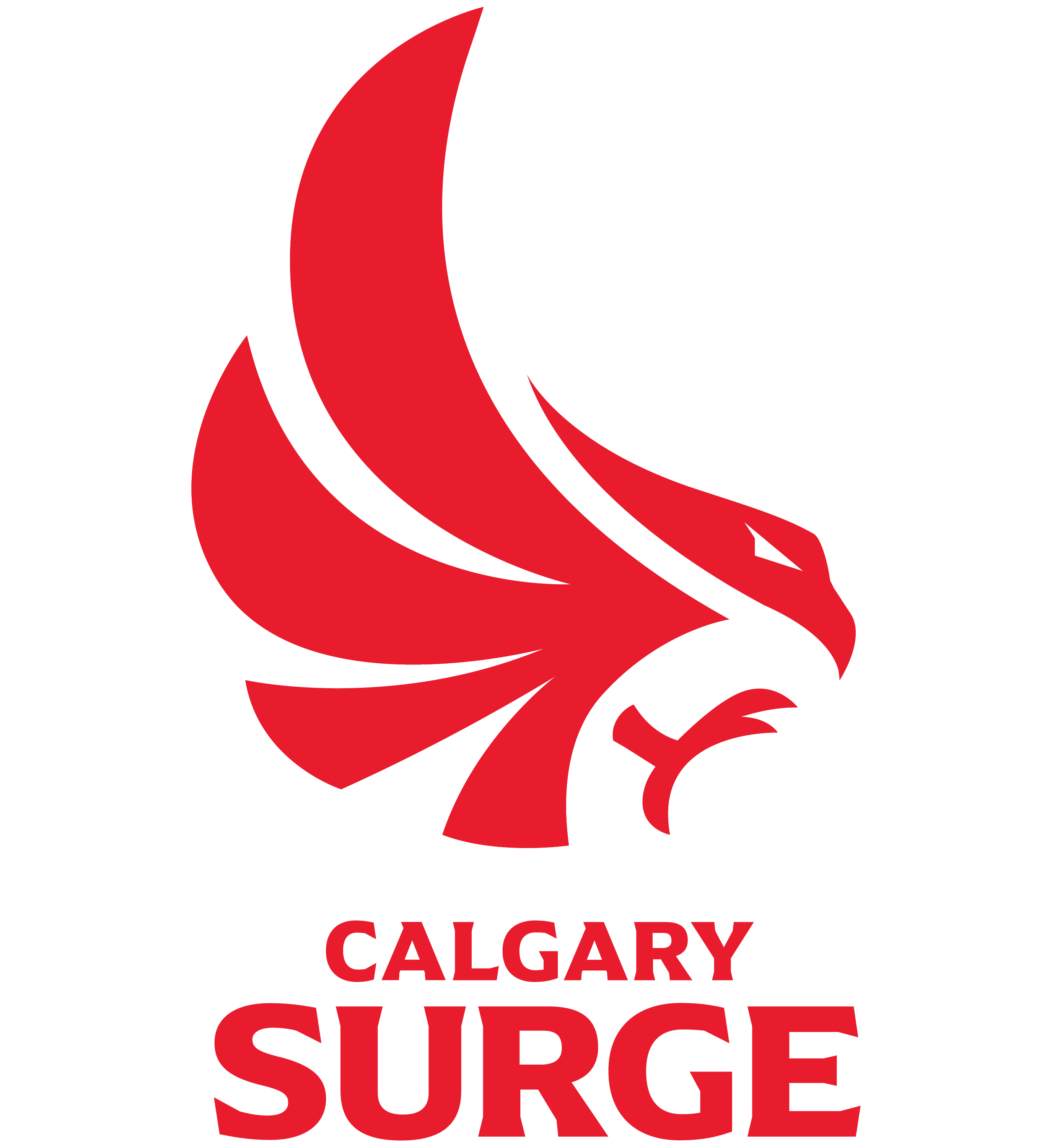 xCalgary Surge