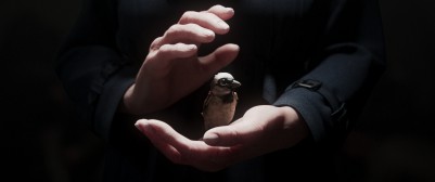 ciffcalgary 2025 a sparrow s song main still 0 2663175 1